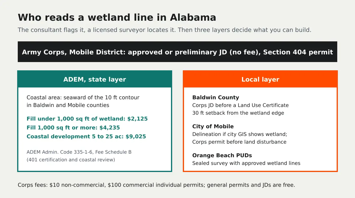 Diagram of who reviews a wetland line in Alabama: the Army Corps Mobile District, ADEM in the coastal area, and Baldwin County, City of Mobile and Orange Beach locally