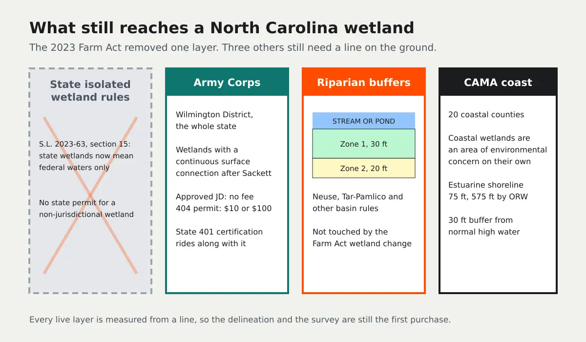 Diagram of what still reaches a North Carolina wetland after the 2023 Farm Act: state isolated wetland rules are gone, while the Army Corps, the riparian buffer rules with a 30 foot Zone 1 and 20 foot Zone 2, and CAMA in the 20 coastal counties still apply